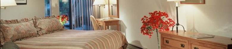 Aspen Mountain Lodge